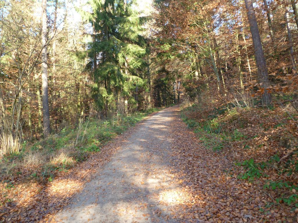 Blockhaus Bayerischer Wald Stamsried Eksteriør billede