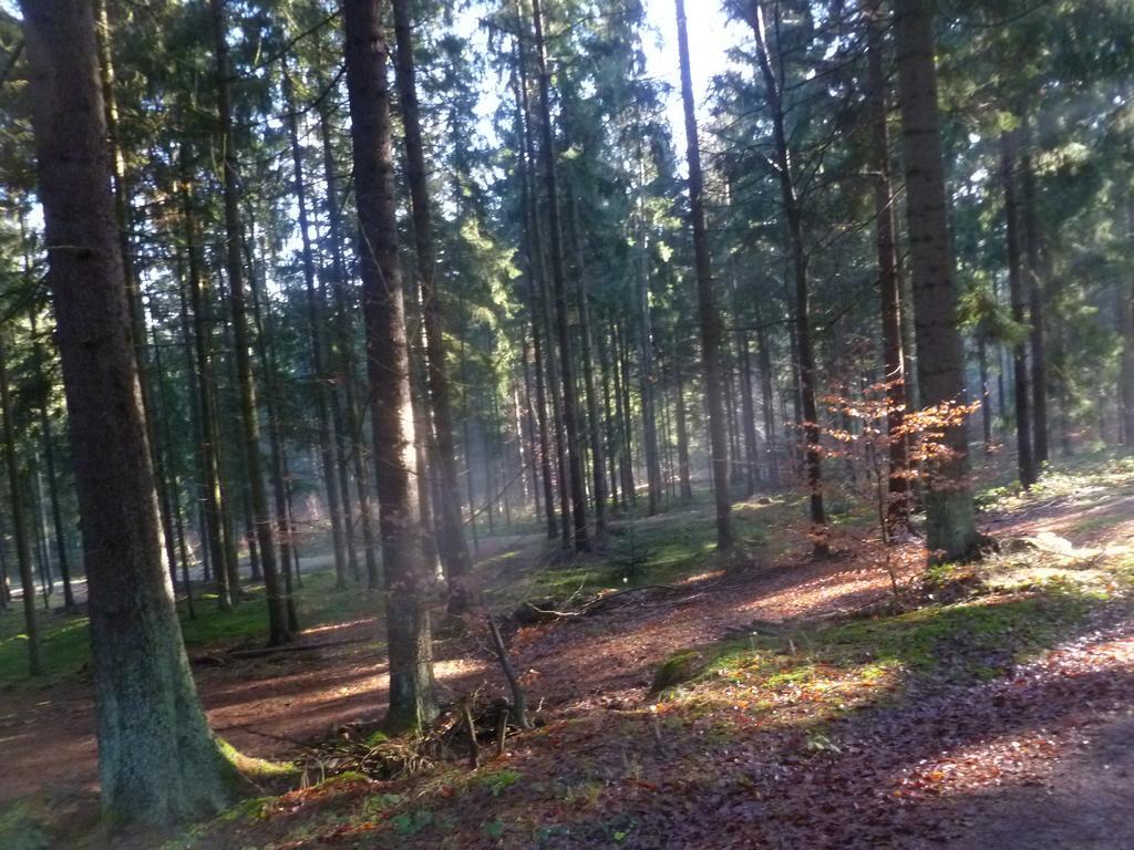 Blockhaus Bayerischer Wald Stamsried Eksteriør billede